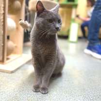 Thumbnail photo of Mary #2