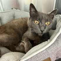 Thumbnail photo of Mary #3