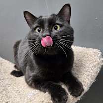 Thumbnail photo of James #1