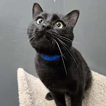 Thumbnail photo of James #2