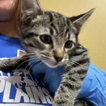 Thumbnail photo of Joe #1