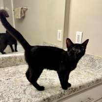 Thumbnail photo of PJ #1