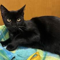 Thumbnail photo of Breckenridge #1