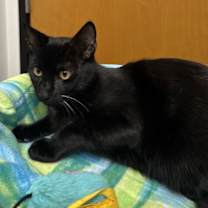 Thumbnail photo of Breckenridge #2