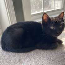 Thumbnail photo of Baba #2