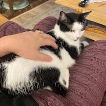 Thumbnail photo of Bonnie #3