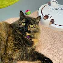 Thumbnail photo of Florance #4