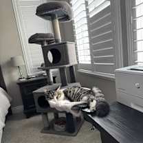 Thumbnail photo of Royce #2