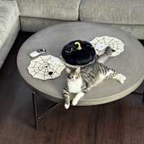 Thumbnail photo of Royce #4