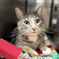 Thumbnail photo of Zaiden #1