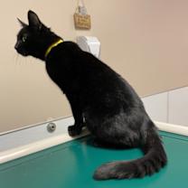 Thumbnail photo of Freya #4