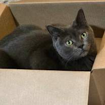 Thumbnail photo of Hunter #1