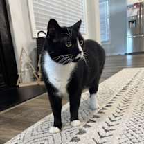 Thumbnail photo of Cash #3