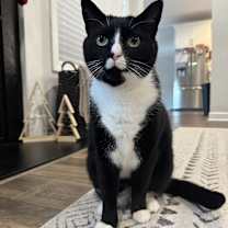 Thumbnail photo of Cash #4