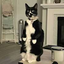 Thumbnail photo of Sweet P #2