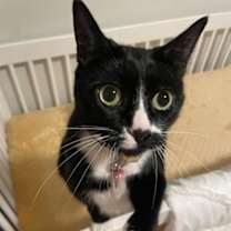 Thumbnail photo of Sweet P #3