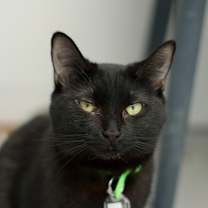 Thumbnail photo of Trish #1