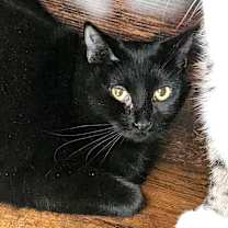 Thumbnail photo of Trish #4