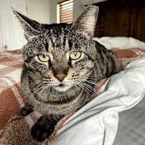 Thumbnail photo of Creed #4