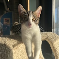 Thumbnail photo of Abrielle #4