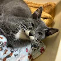 Thumbnail photo of Edward #1