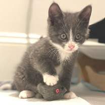 Thumbnail photo of Arabella #4