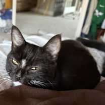 Thumbnail photo of Betty the Beauty #3