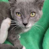 Thumbnail photo of Twix #2