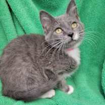 Thumbnail photo of Twix #3