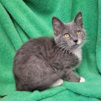 Thumbnail photo of Twix #4