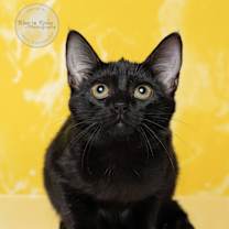 Thumbnail photo of Carly #2