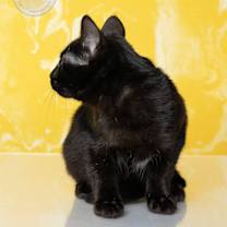 Thumbnail photo of Carly #4