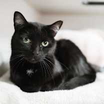 Thumbnail photo of Moira #2