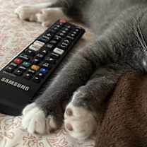 Thumbnail photo of Rocky Balboa #3