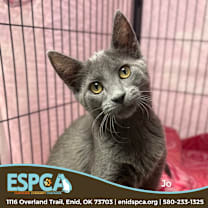 Thumbnail photo of Jo #1