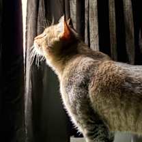 Thumbnail photo of Trevor #2