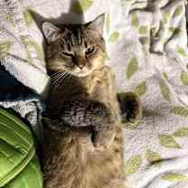 Thumbnail photo of Trevor #3