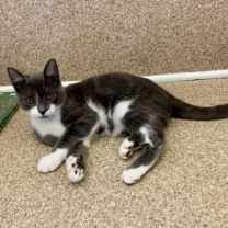 Thumbnail photo of Nelly #2