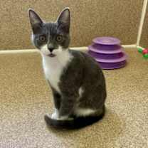 Thumbnail photo of Nelly #3