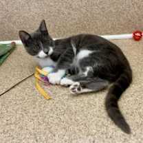 Thumbnail photo of Nelly #4