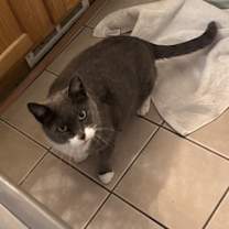 Thumbnail photo of Daisy #1