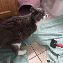 Thumbnail photo of Daisy #2