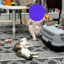 Thumbnail photo of Evergreen #3