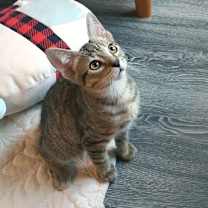 Thumbnail photo of Hallow 25 #1