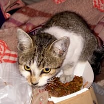 Thumbnail photo of Everly #2