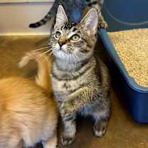 Thumbnail photo of Ida #3