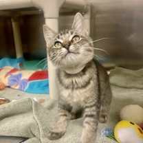 Thumbnail photo of Ida #4