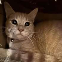 Thumbnail photo of Dewey #1