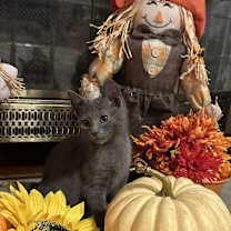 Thumbnail photo of Jerry #2