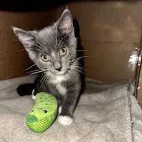 Thumbnail photo of Winter #2